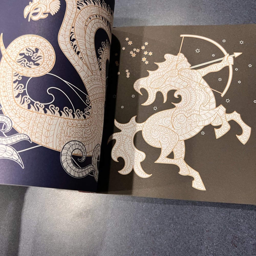 FABULOUS BEASTS:  Night and Day Adult Coloring Book  NEW - Picture 5 of 14